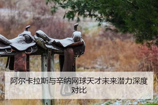 阿尔卡拉斯与辛纳网球天才未来潜力深度对比